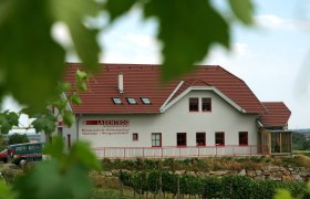 Weingut Ladentrog, © Weingut Ladentrog