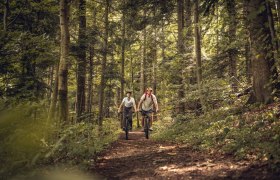 Trekkingstrecke durch den westlichen Wienerwald, © Wienerwald Tourismus GmbH / Christoph Kerschbaum