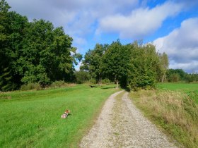 Blockheideweg, © Marktgemeinde Hoheneich