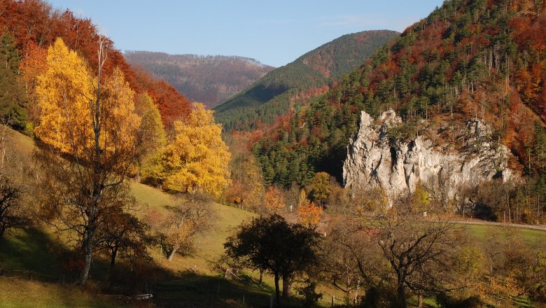 Der Wienerwald, © Gasthaus Bruthenne