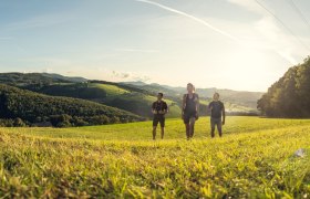 Der Beethoven Panoramaweg, © Wienerwald Tourismus GmbH / Christoph Kerschbaum