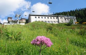 Ötscherschutzhaus im Sommer, © Ötscherschutzhaus, Karin Müller