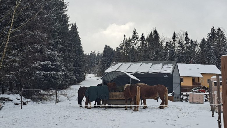 Winter, © Birgit Libal