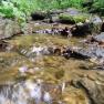 Das Quellwasser des Berges nährt alle Bäche und bietet seltenen Tierarten den idealen Lebensraum, © 1000 Krauthof