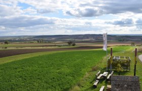 Blick auf das Areal der Fundstelle, © ARDIG