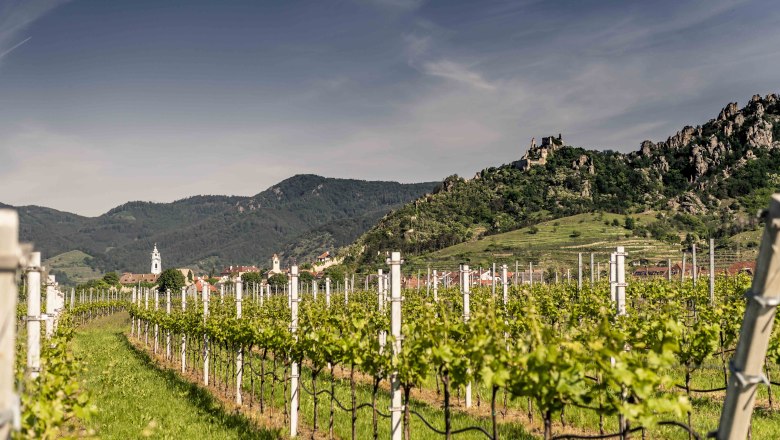 Dürnstein im Frühling, © Robert Herbst