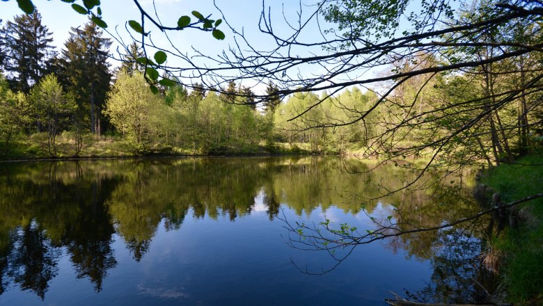 privater Waldteich, © SSz