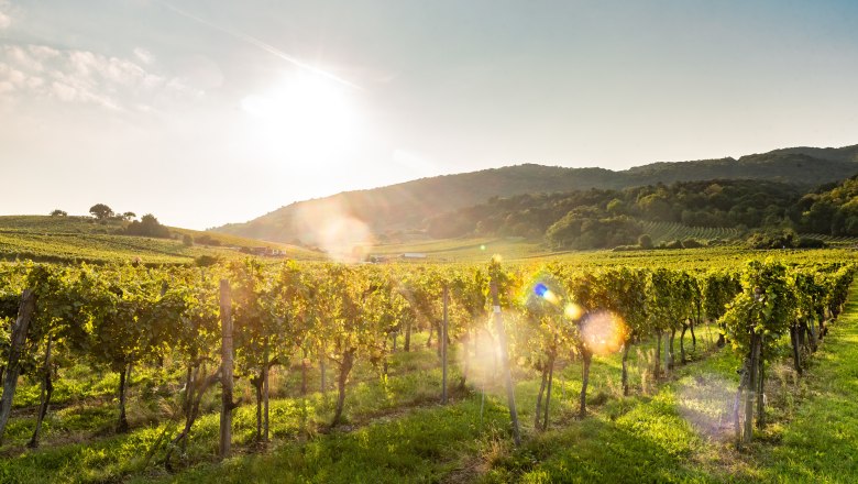 Thermenregion Wienerwald, © ©Christian Dusek