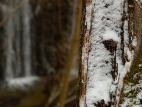 Wienerwald, © Wienerwald Touruismus GmbH / Kerstin Semmelmeyer