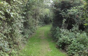 Waldandacht-Wanderweg nach Reidling, © Anton Hollaus