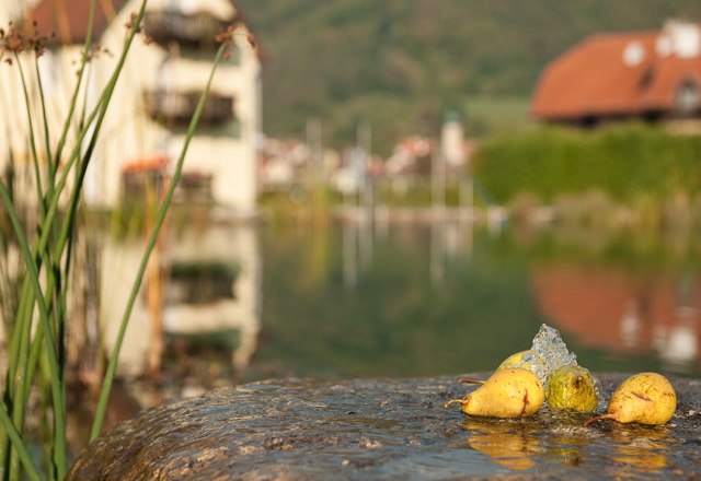 Badeteich, © Residenz Wachau