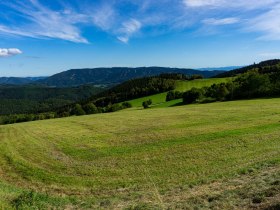 Blick zum Jauerling, © Gottfried Grossinger