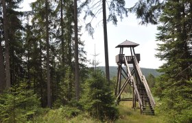 Aussichtsturm Hochmoor Große Haide, © Reinhard Nieder