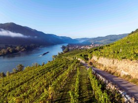 Weißenkirchen Ried Klaus, © Donau NÖ Tourismus/Robert Herbst