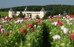 Schloss Ottenschlag, © Martin Rehberger