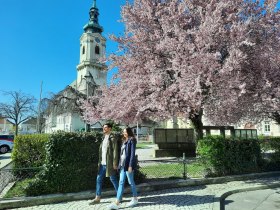 Ortsspaziergang Bruck an der Leitha, Stadtpfarrkirche, © Donau Niederösterreich, Neubauer