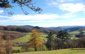 Aussicht zum Peilstein, © Wienerwald