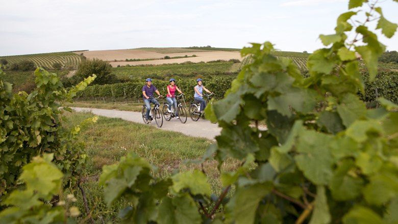 E-Biken im Weinviertel, © Weinviertel Tourismus / Wurnig