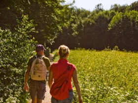 Wandern in Baden, © Wienerwald Tourismus GmbH / Tourismus der Stadtgemeinde Baden