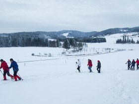 Schneeschuhwanderung Frauenwieserteich, © Walter Bröderbauer