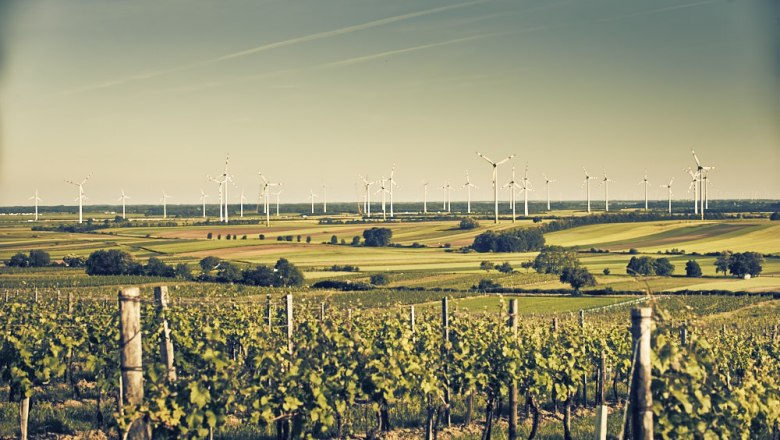 Hundsheimer Berge, Römerland Carnuntum, © Donau Niederösterreich Tourismus, Andreas Hofer