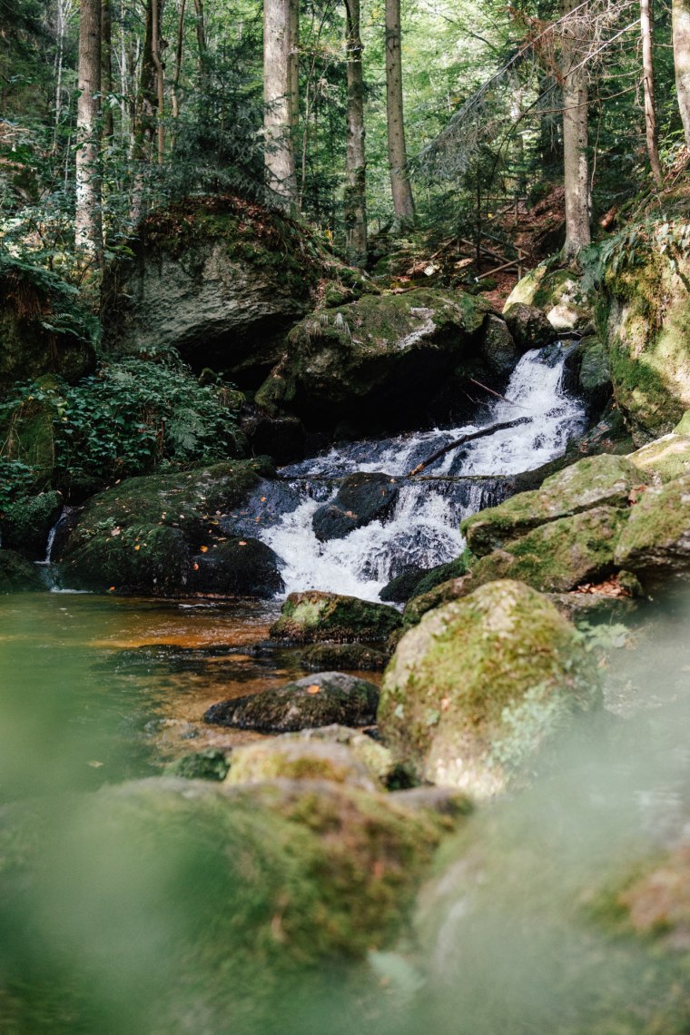 Wandern durch die Ysperklamm. , © Melanie Kerzendorfer