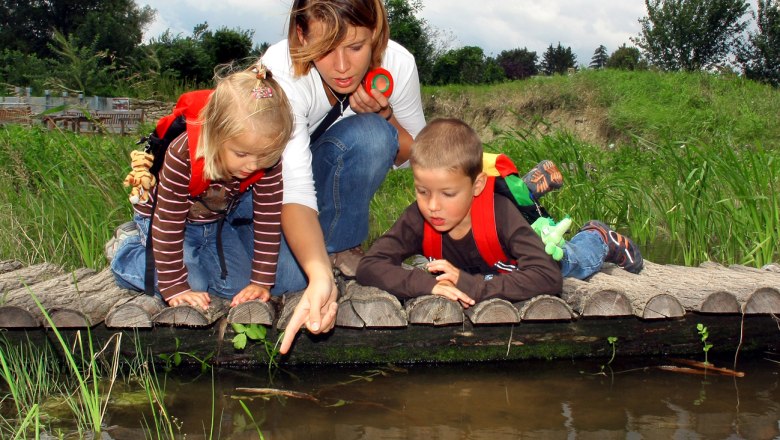 Naturerlebnis auf der Schlossinsel, © Nationalpark Donau-Auen, Kern