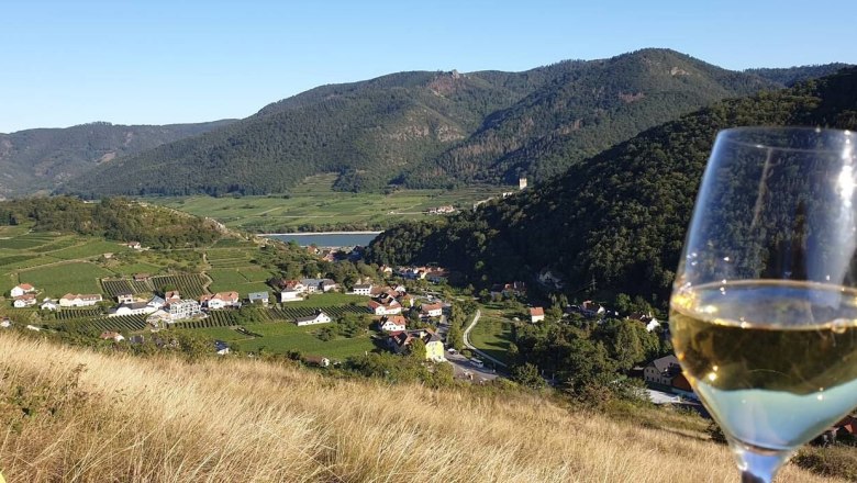 Aussicht vom Ferienhaus Johanna, © Familie Schoßmann