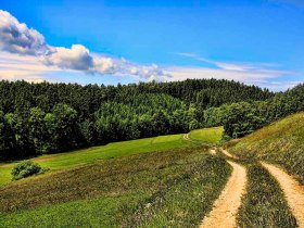 Landschaft am Jauerling, © Lukas Traxler