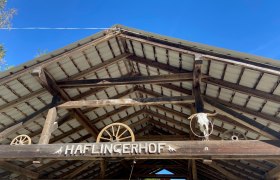 Haflingerhof Luef, © Wiener Alpen