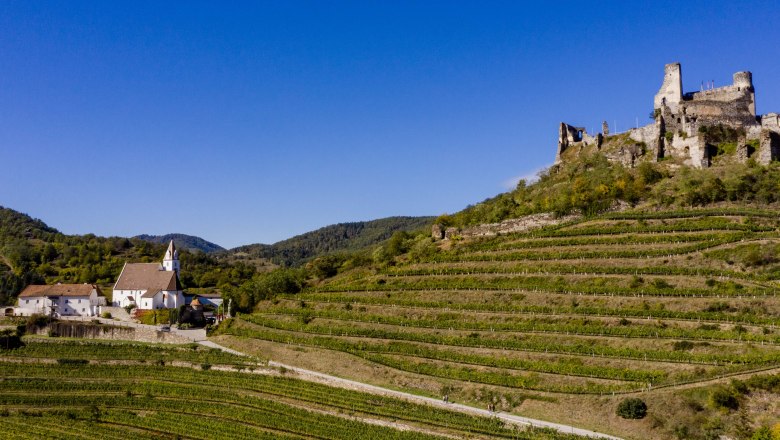 Weitwanderweg Kremstal-Donau durch Senftenberg, © Doris Schwarz-König