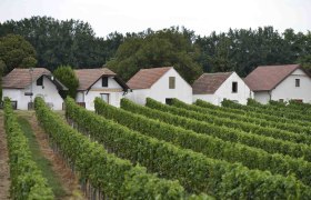 Kellergasse Prellenkirchen, Römerland Carnuntum, © Steve Haider