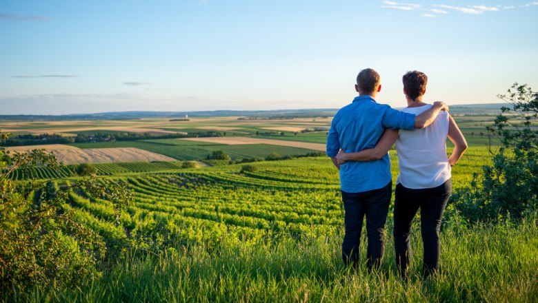 Sanfthügelige Weinlandschaft, © Tonality