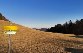 Gabelung bei der Passkapelle Richtung Außeraigen, © Wiener Alpen in Niederösterreich - Wechsel