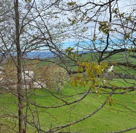 Ausblick St. Leonhard am Walde im Frühling, © Ybbstaler Alpen