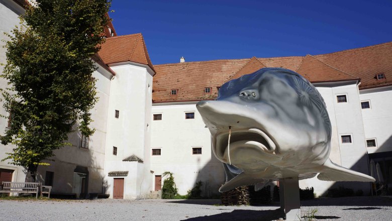 Innenhof schlossORTH Nationalpark-Zentrum, Orth/Donau, © Donau Niederösterreich, Steve Haider