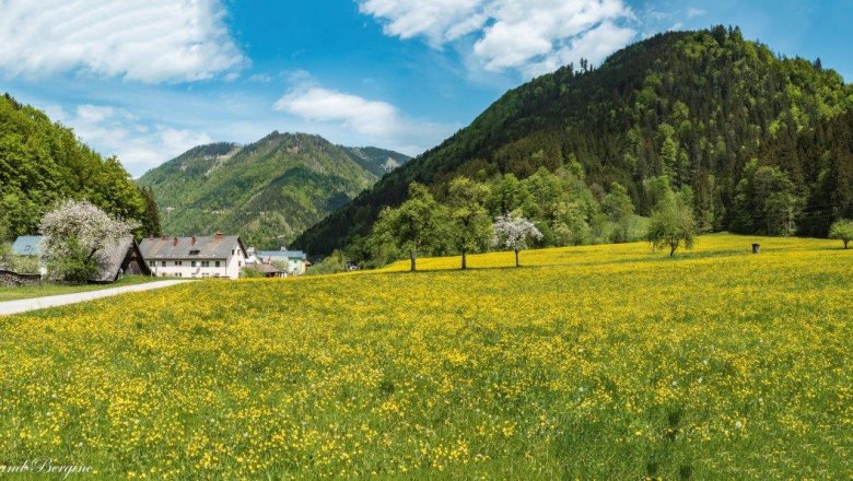 hollensteiner-radtour, © Ferinand Berginc