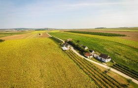 Kellergasse Hart-Aschendorf, © Weinstraße Weinviertel West