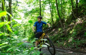 Mountainbiker im Gelände, © Donau NÖ Tourismus/Barbara Elser