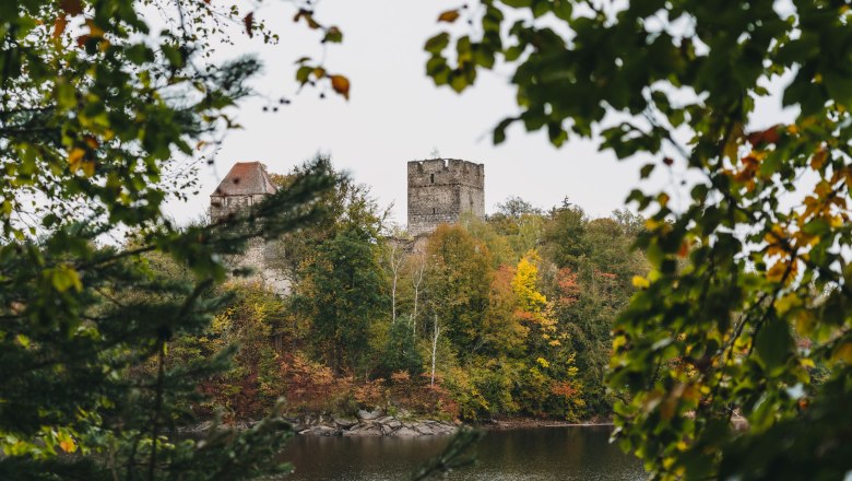 Stausee Ottenstein - Blick auf Ruine Lichtenfels, © Line Sulzbacher