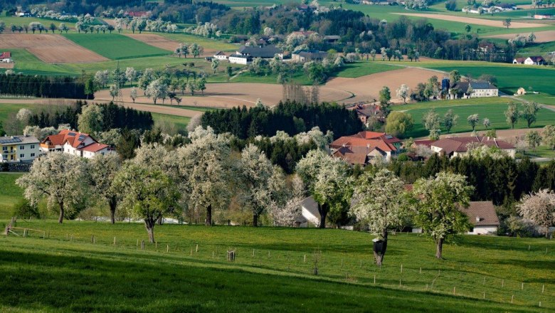 Fotopunkt Birnbaumzeile Karl Lammerhuber Blick, © schwarz-koenig.at