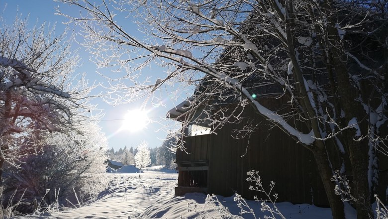 Winter, © Friedlhof