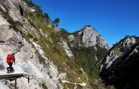 Auf Wanderung durch die Ötschergräben, © weinfranz.at