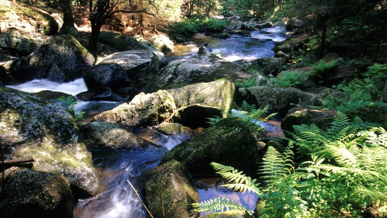 Höllfall, © Waldviertel Tourismus, Reinhard Mandl