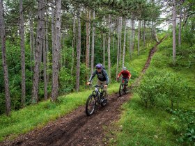 Anninger, Kiental Trail, © Wienerwald Tourismus GmbH / Miloš Štáfek