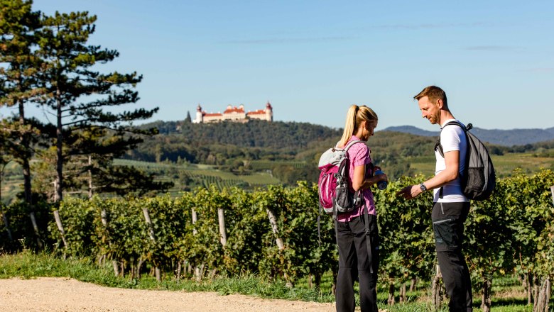 Wandern im Kremstal, © Doris Schwarz-König