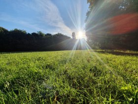 Flora und Fauna, © Wienerwald