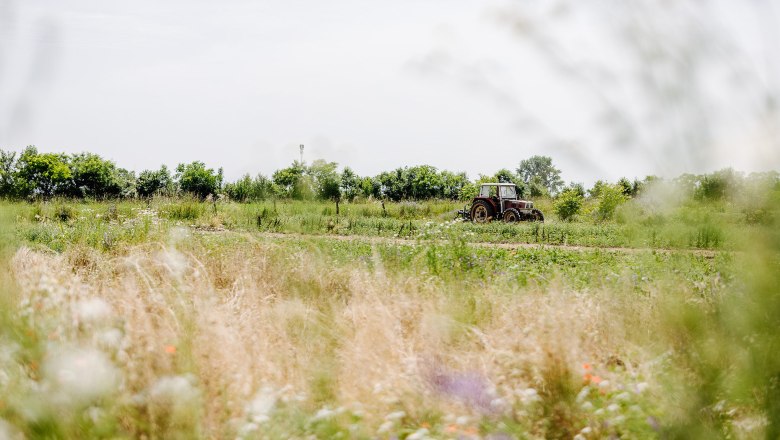 Traktor am Weg zur Feldarbeit am Wagram