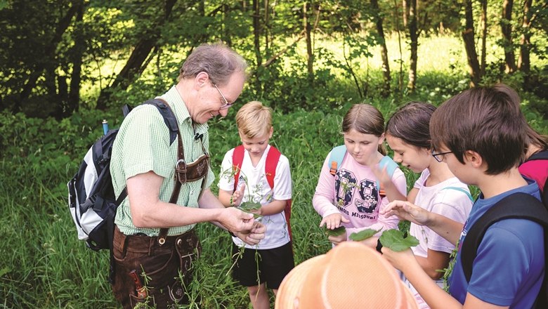 Pfanzenkunde, © Wunderwelt Wald, Fotograf Benjamin Wald