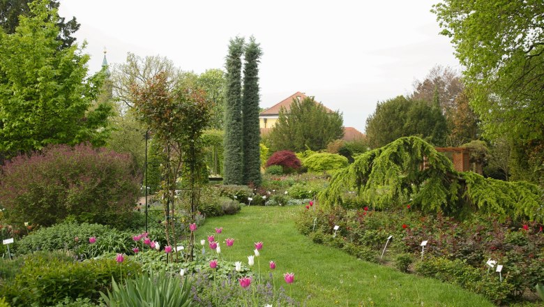 Ideen für den Garten, © Gärtner Starkl